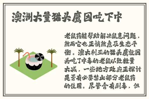 一面亲着韩剧
